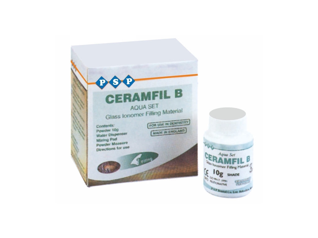 PSP CERAMFIL B Cam Ionomer Dolgu Refill