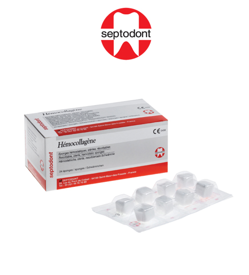 SEPTODONT Hemocollagene Rezorbe Olabilen, Steril, Hemostatik Sünger